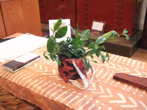 あべよしみ朗読会　テーマ「平和を想う」開催しました