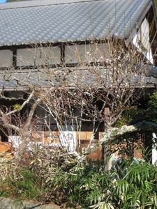 和楽民芸店　冬の泉ケ谷