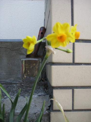 いつのまにか