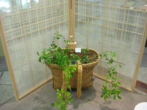 暮らしの調度展開催中