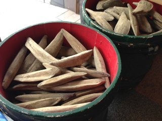 海産物処 ふじ田