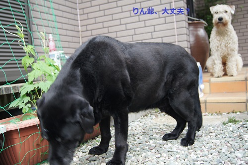 梅雨の合間