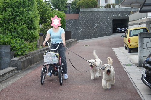 トライク復活！