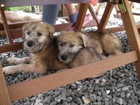 アース、幸せにね～♥