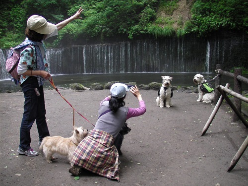 一人旅完結編