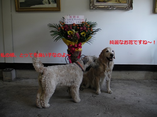 9月19日の記事
