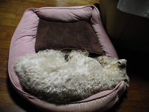 秋の夜長～。
