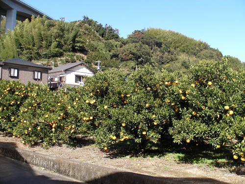 山切大好き！