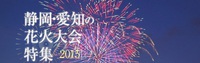 夏はおでかけの季節。花火大会2015 2015/07/14 17:00:58