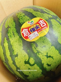 極実すいか　すいか