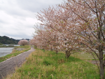 2012年春、ありがとう！
