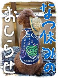 夏休みのお知らせ♪