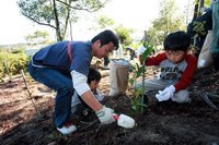 No451 緑のボランティア植樹