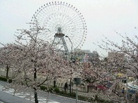 横浜～中村新史「完全復活チャリティー」