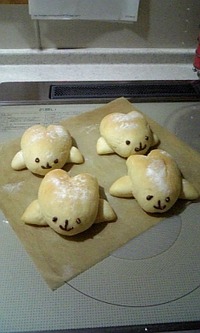 ごまアザラシ