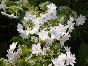 エッ　キャー ☆
