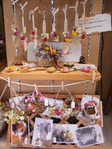 シミコレ出展者さんのGWイベント情報！