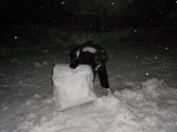 大雪万歳！
