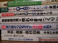 借りだめmax