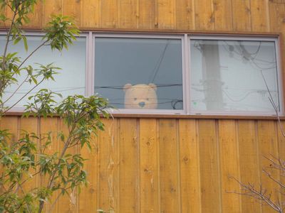 まどぎわのつ○ちー先生？