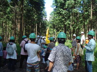 マルダイきこりツアーに参加