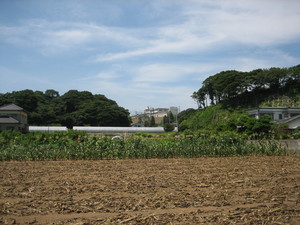 望郷～千葉県銚子～