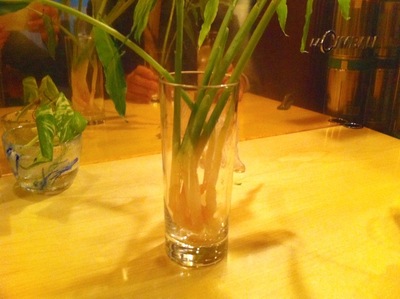葉しょうがのピクルス