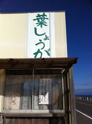 葉ショウガはおしまい