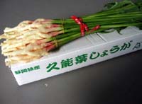 久能の葉しょうが