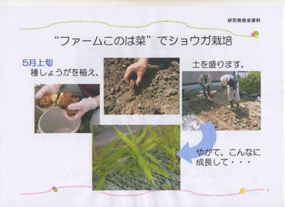 研究発表資料1