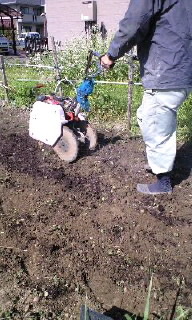 ＳＬＯＷ−Ｆａｒｍ始動(o^∀^o)