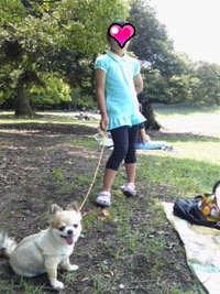 ワンちゃんとお散歩♪