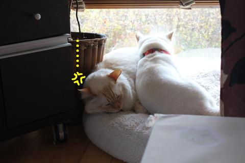 場所取りすぎ〜