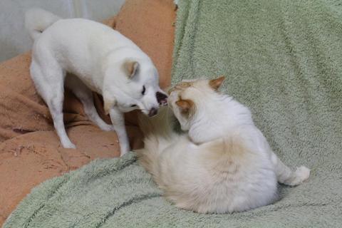 本日の取り組み