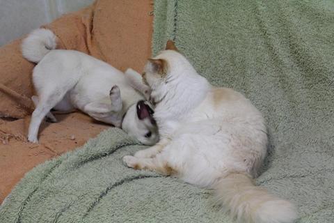 本日の取り組み