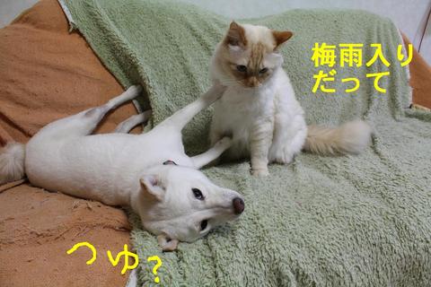 本日の取り組み