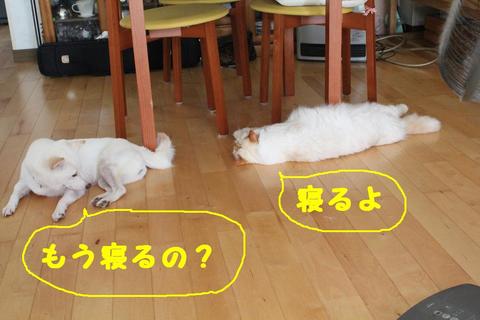 真夏日の会話