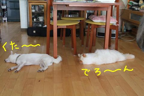 真夏日の会話