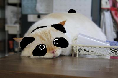 合体！