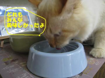 しぃと沖縄食