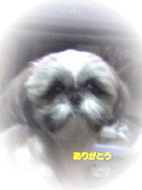 『ありがとう』