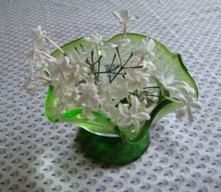 羽衣ジャスミン