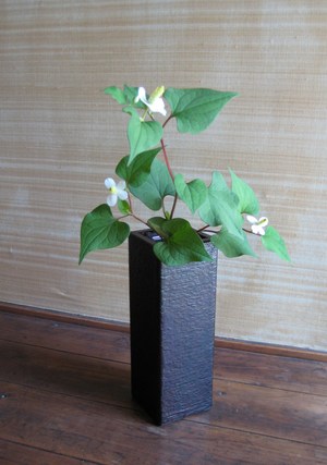 小さいサイズ