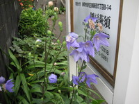 倉庫内展示場