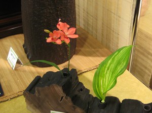名前も知らなかった花
