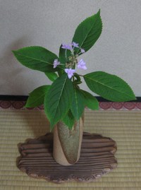 うろたえる自分を認める