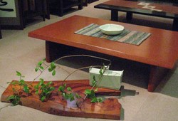 展示場模様替え