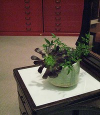展示場模様替え