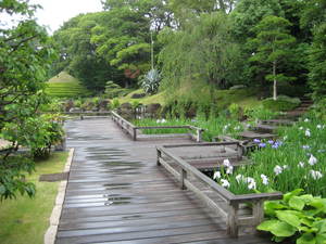 紅葉山庭園散策