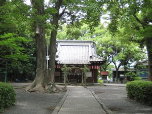 神秘の輪